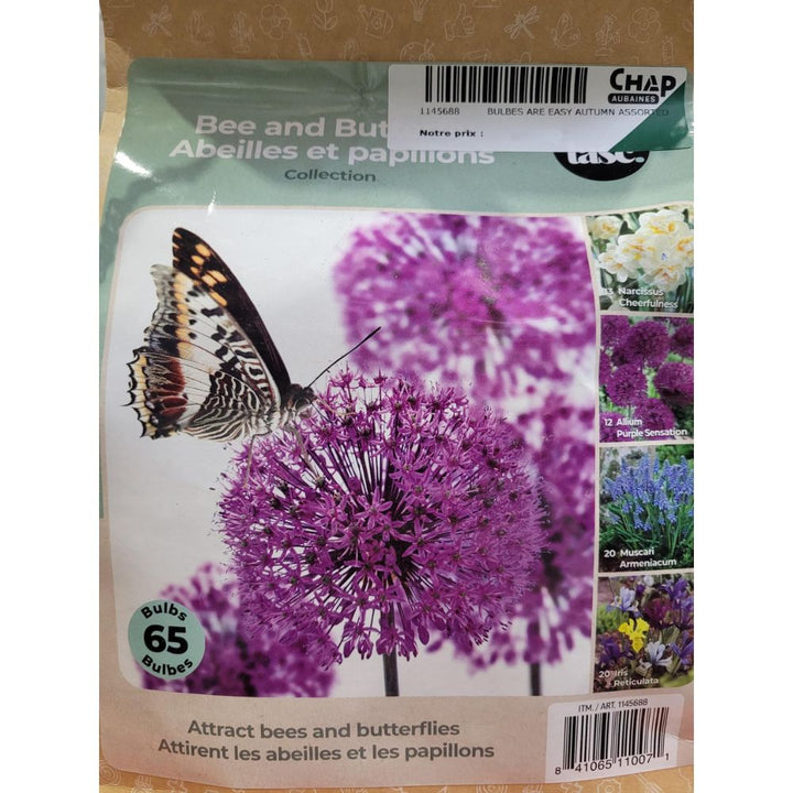 Tasc - Assortiments de bulbs de fleurs