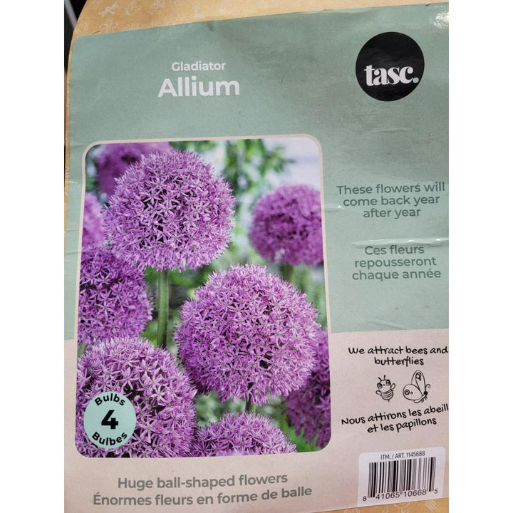 Tasc - Assortiments de bulbs de fleurs