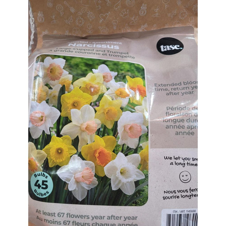 Tasc - Assortiments de bulbs de fleurs