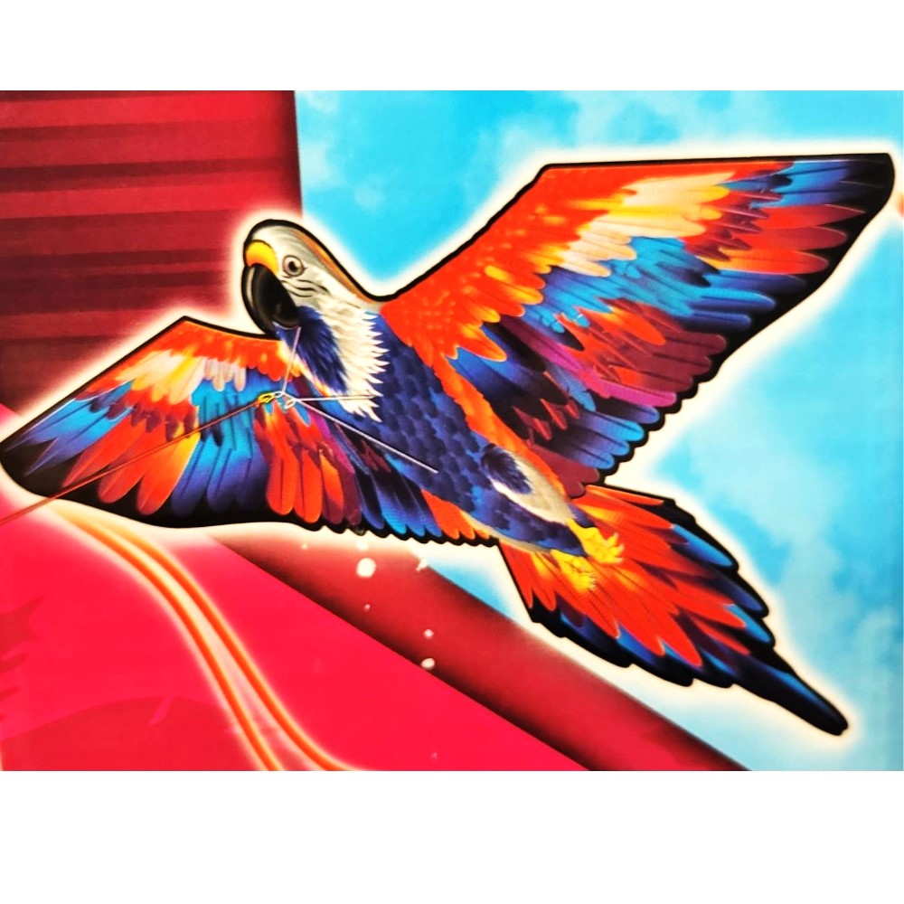 SkyTails - Cerf-volant 2D et 3D