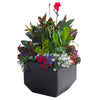 Versa - 40.6 cm (16 in) Square Planters with Self-Watering System