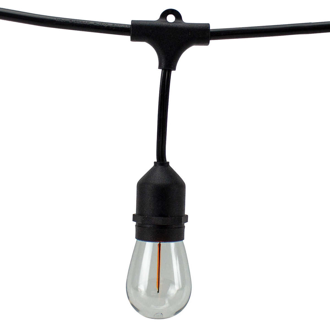 American Lighting 48 ft. Warm White LED String Lights 