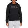 Puma - French Terry Hoodie