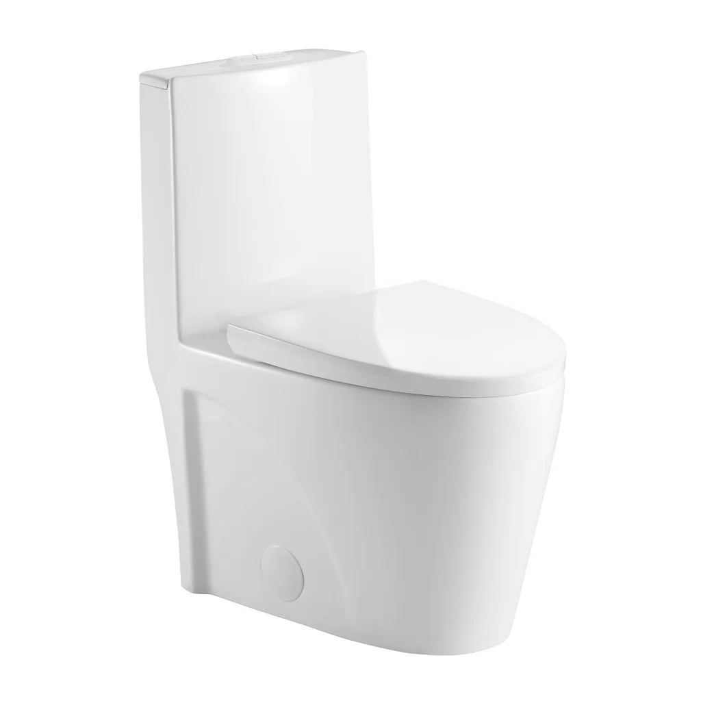 Agua Canada - Toilette à double chasse Tyrone