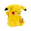 Pokémon Official Sleeping Plush