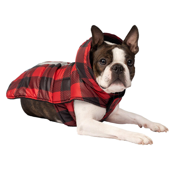 South Paw  - Veste pour chien Jackson