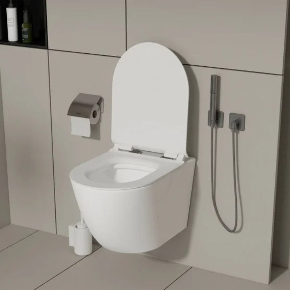 Appollo - Dillon wall-mounted toilet