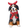 Holiday Welcome Dog - 64.5 cm (25.4 in)