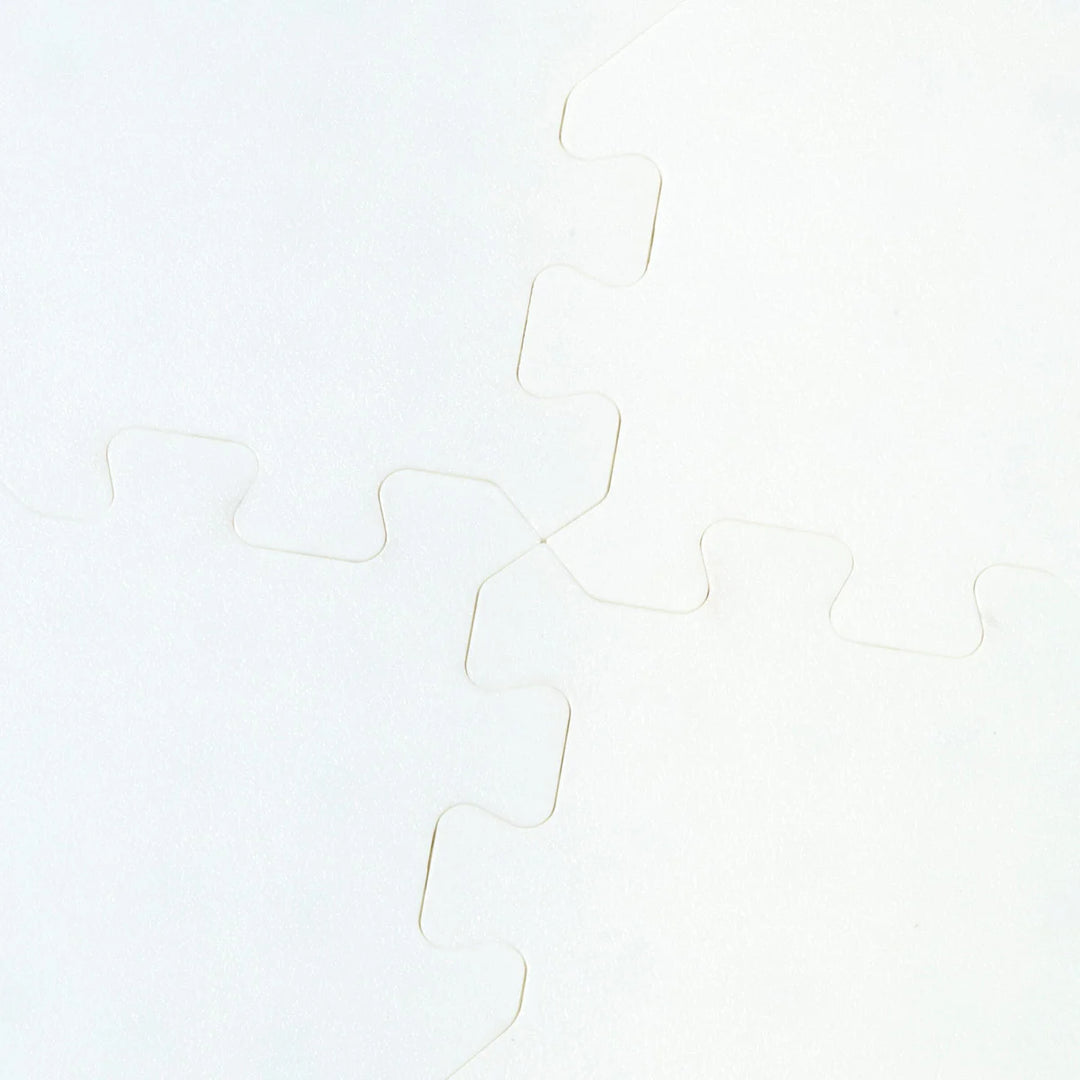 Winnwell - Dalles de hockey blanches pour patinage, paquet de 10