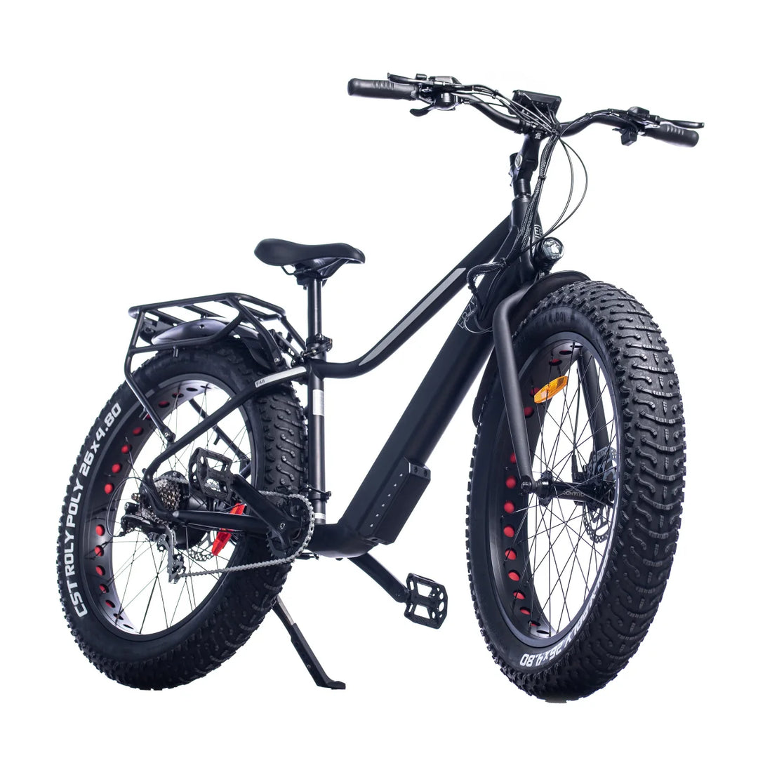 EBZE - Vélo électrique à pneus larges F48