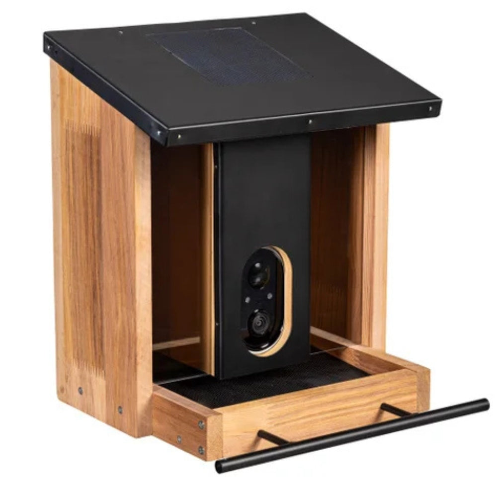 Evergreen - Smart Solar Bird Feeder