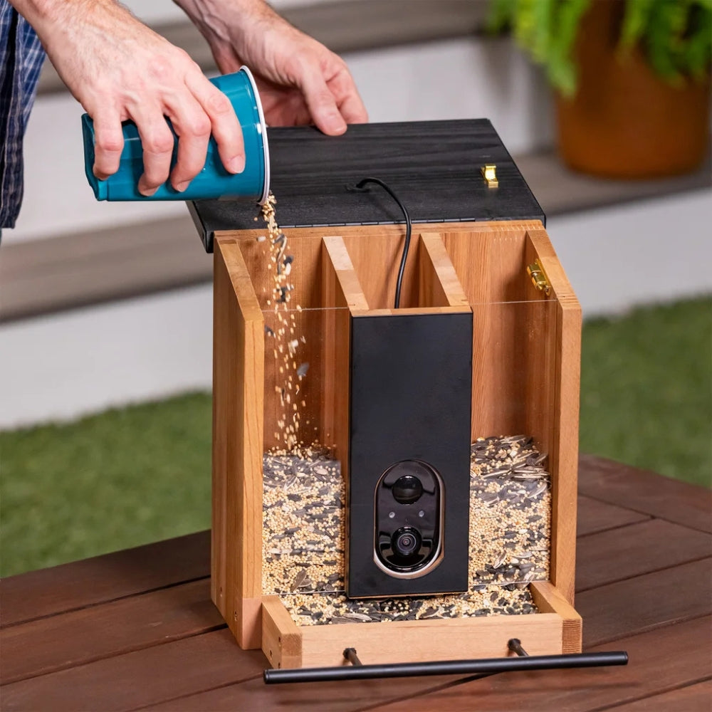 Evergreen - Smart Solar Bird Feeder