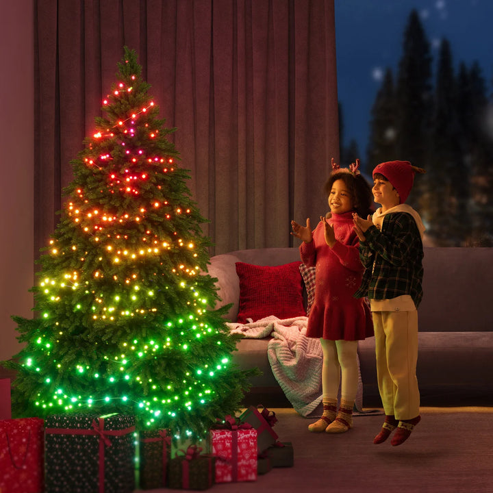 Govee - Guirlande lumineuse de Noël 30,48 m (100 pi), 2 pièces