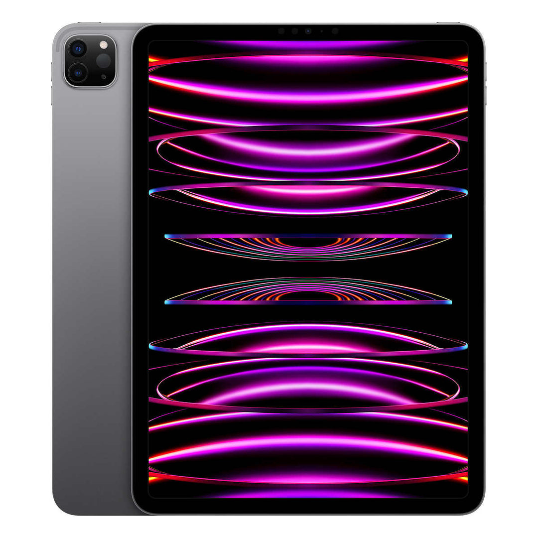 Apple - iPad Pro 12,9 po (5e génération) 128 Gb