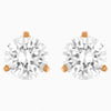 Swarosvki - Earring