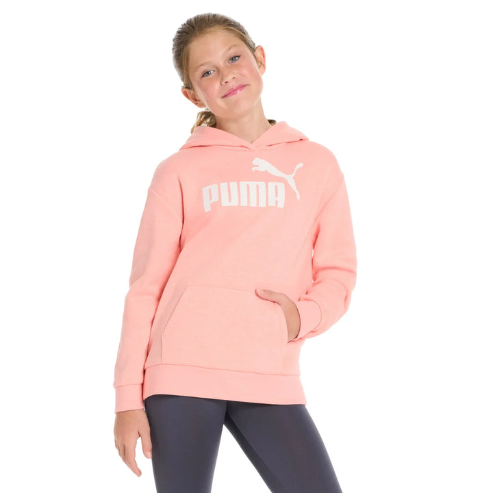 Puma - Chandail à capuchon