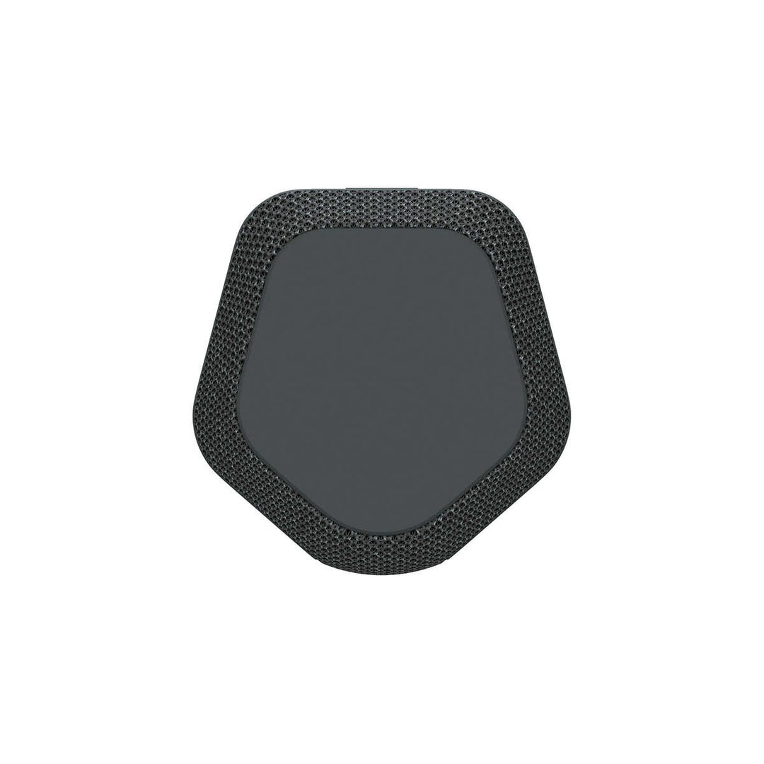 Sony SRSXE200 Portable Bluetooth Speaker 