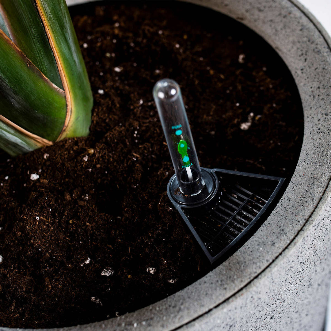 Vita Växa - Jardinières, ensemble de 2