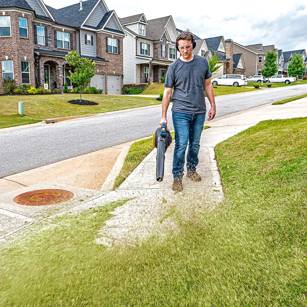 LawnMaster - Souffleur portatif sans traction 2 cycles 26 cc - NPTBL26A