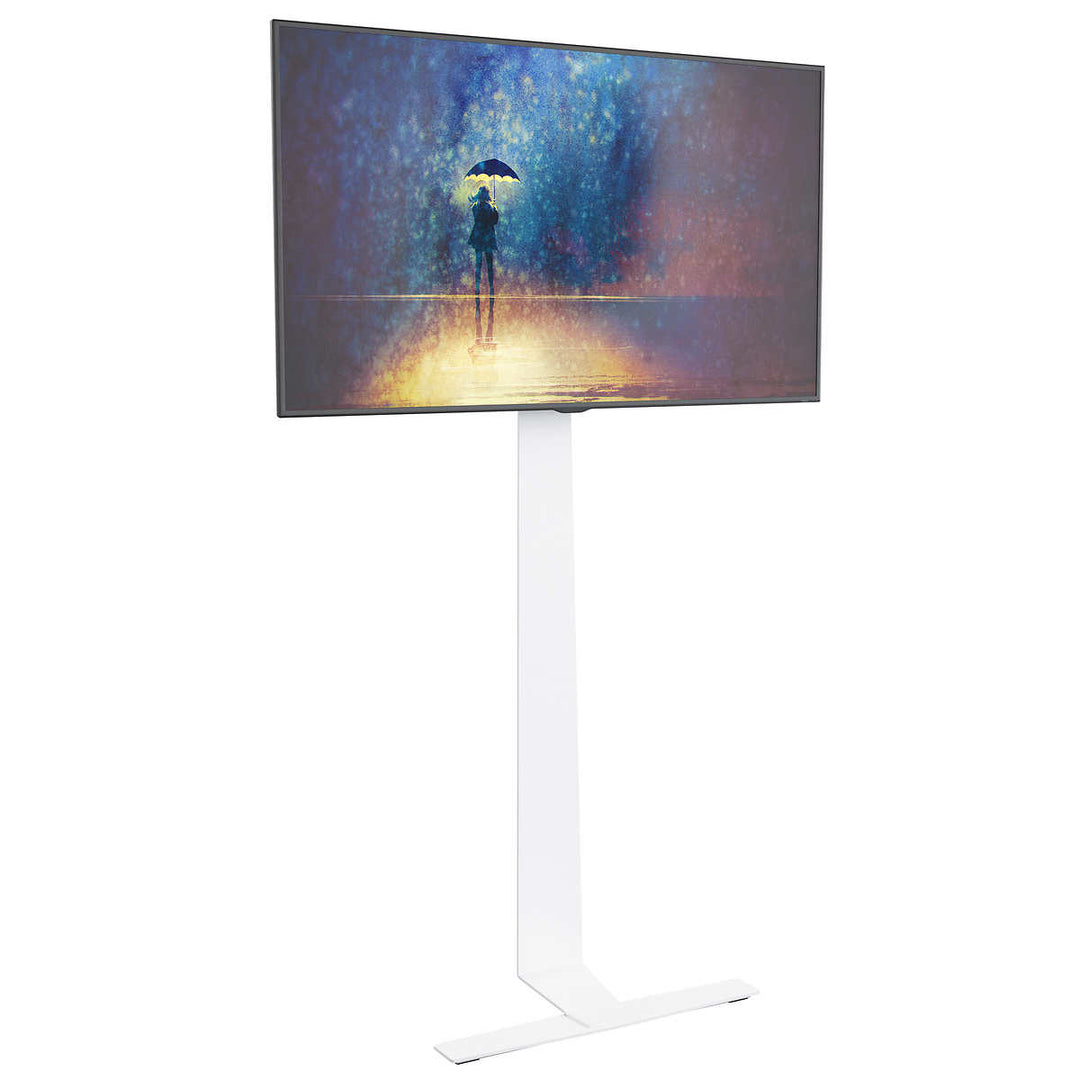 AVF - Support de télé pour plancher, pour télé allant jusqu’à 80 po