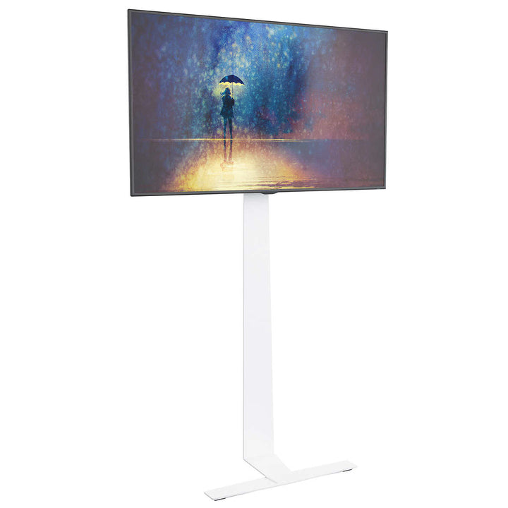 AVF - Support de télé pour plancher, pour télé allant jusqu’à 80 po