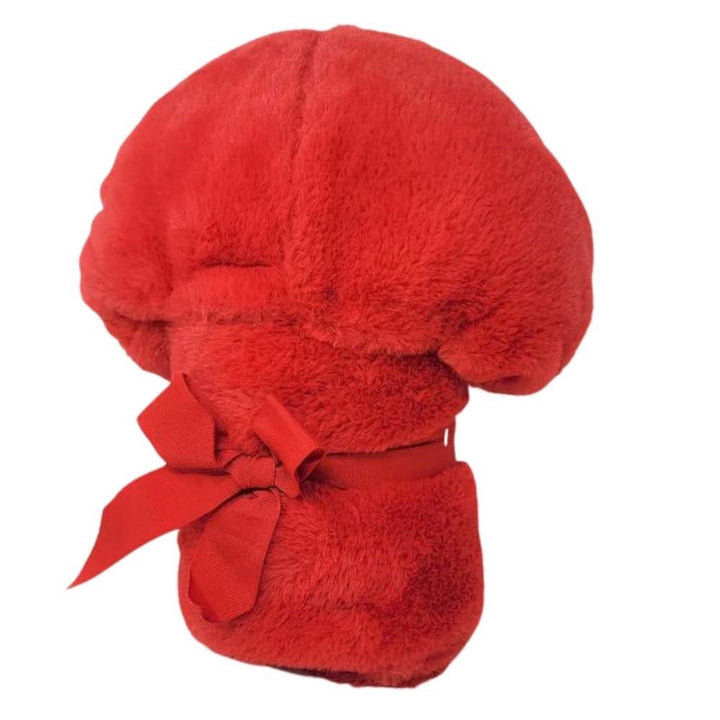 Disney - Couverture à capuche