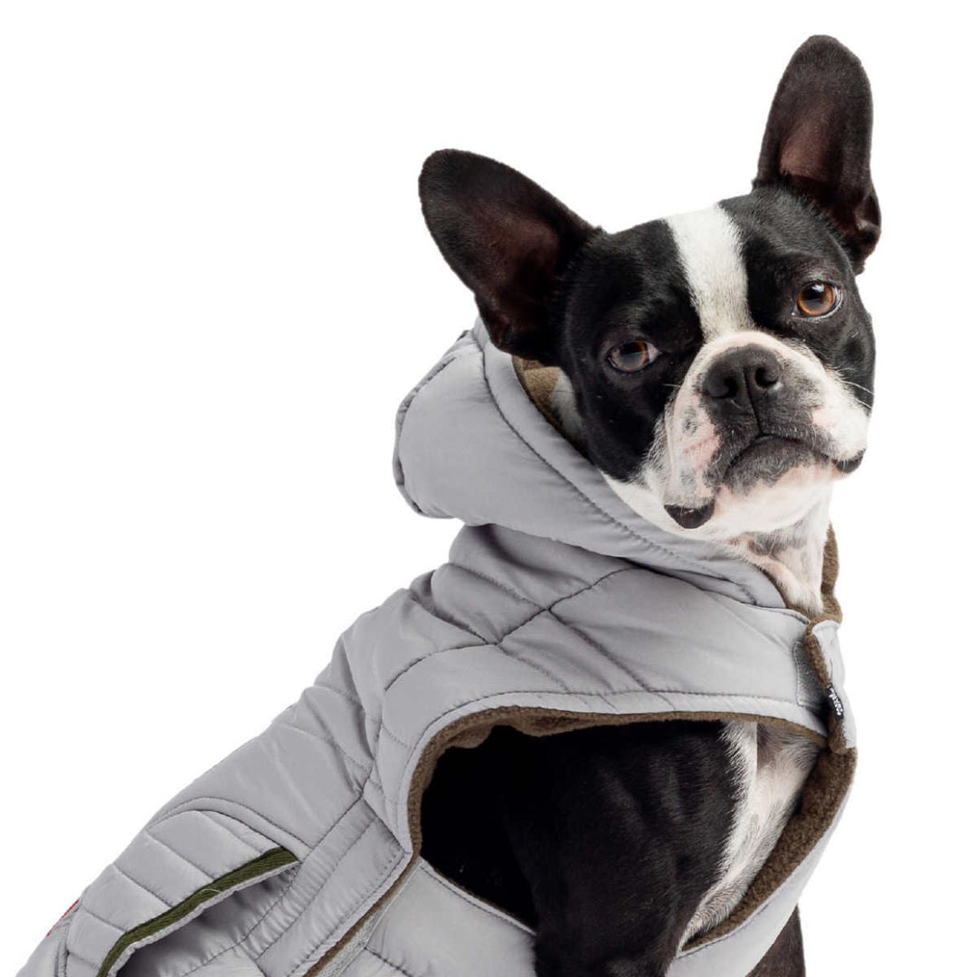 Silver Paw - Veste réflective pour chien
