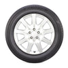 Bridgestone - Ecopia PP422 Plus 185/55R15 winter tires